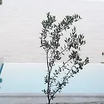 Luxury Ciovo Sleeps 17, Infinity Pool, Seafront